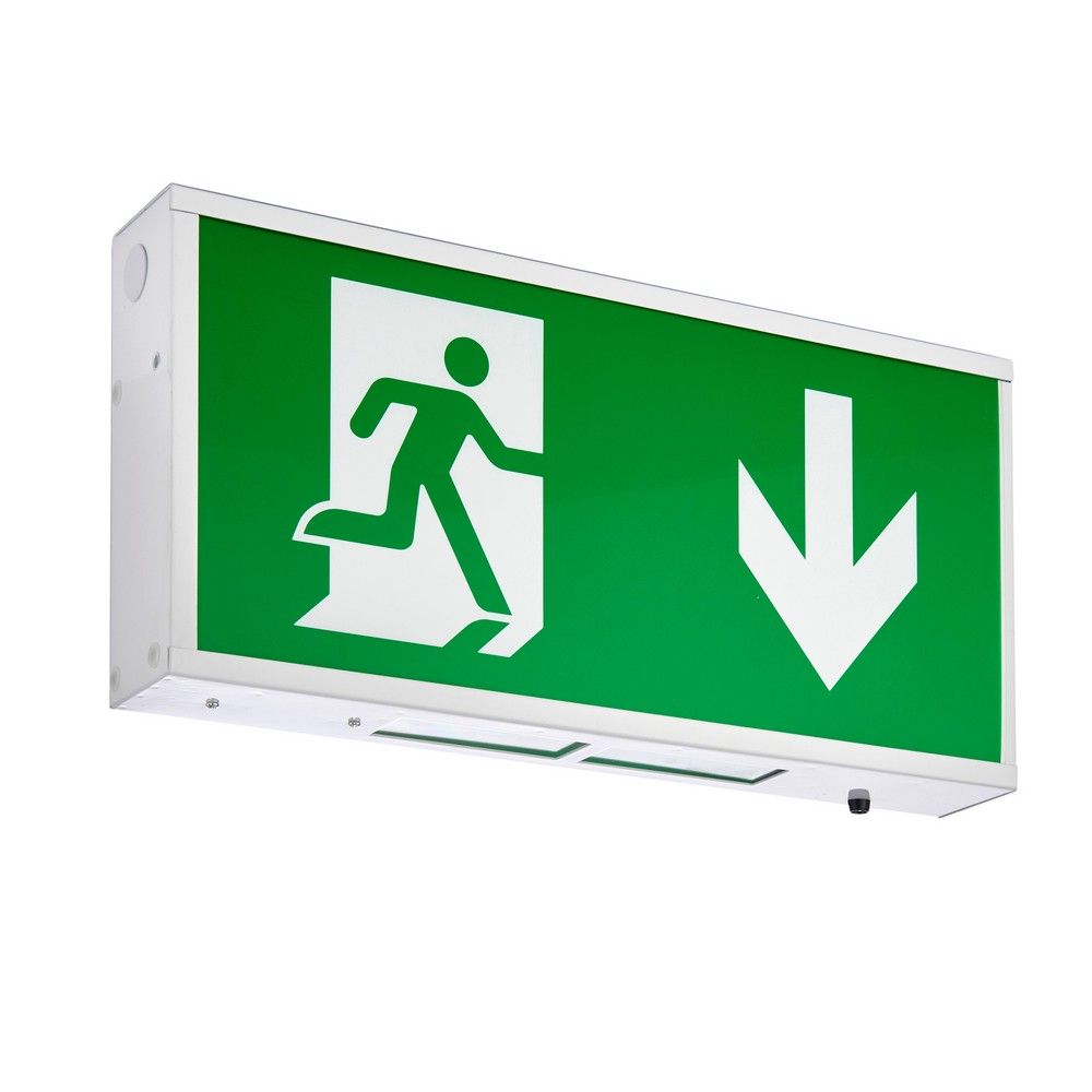 Sign Box 1.5W Daylight White Emergency Light - Elesi